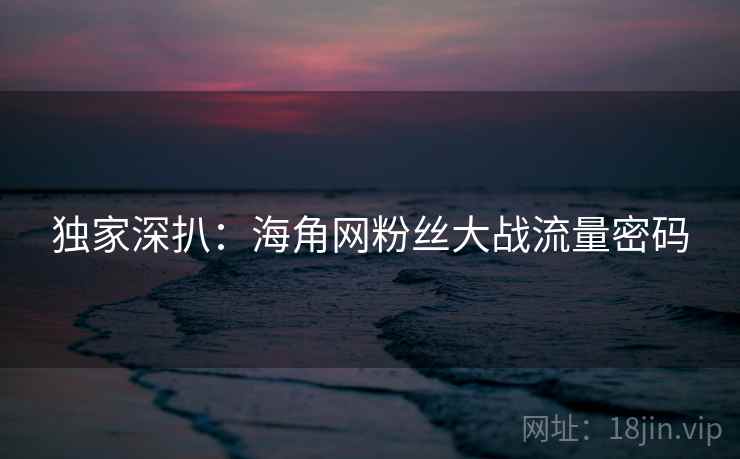 独家深扒：海角网粉丝大战流量密码