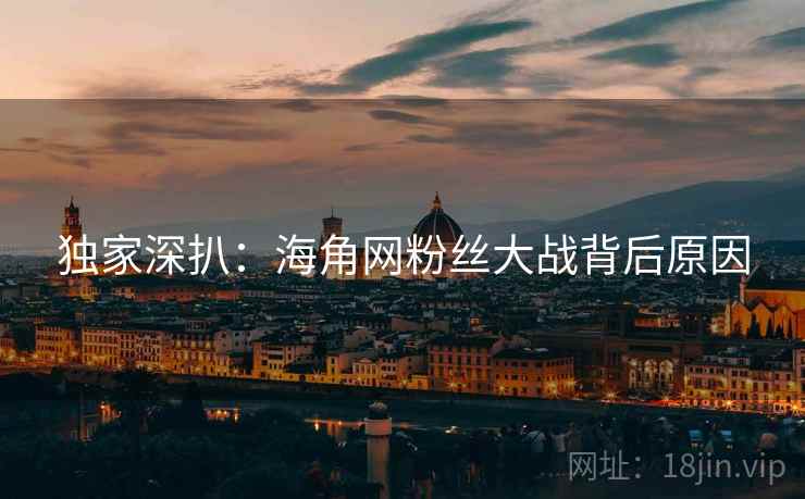 独家深扒：海角网粉丝大战背后原因
